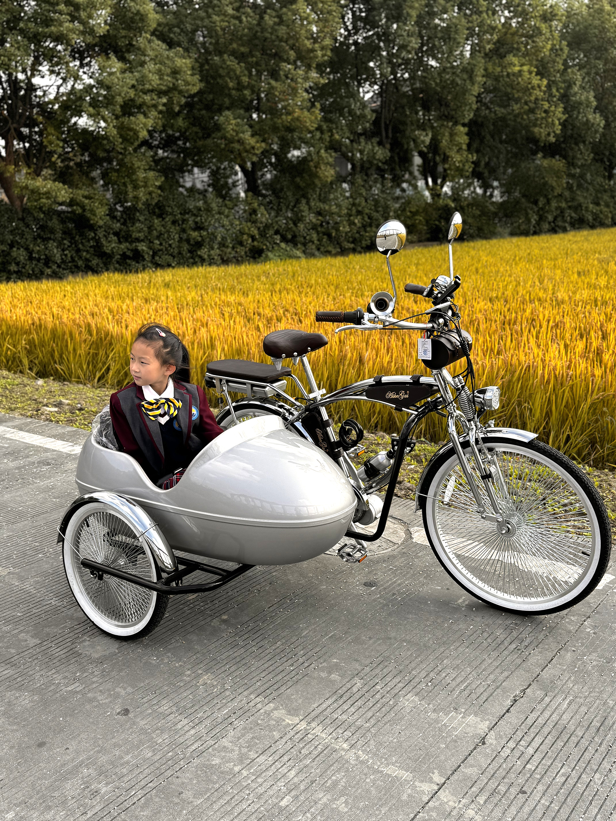 Vintage Cruiser Bike-With Sidecar Chrome